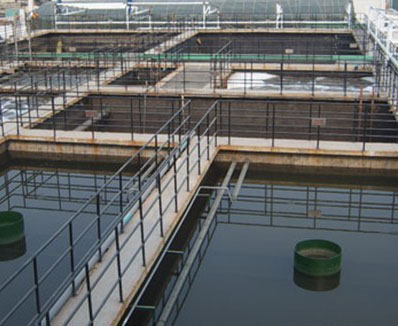 ���̰���